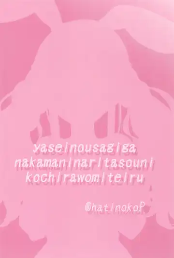 [Hachigo] Yasei no Usagi ga Nakama ni Naritasou ni Kochira wo Miteiru Fhentai - Page 20