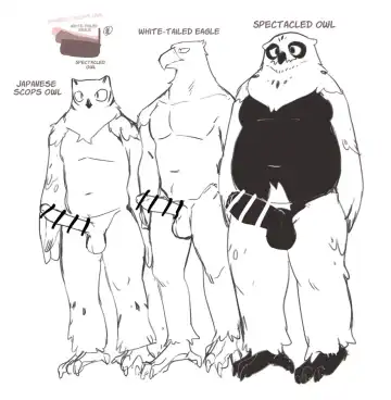[Inax] White-Tailed Eagle and Owls Fhentai - Page 16