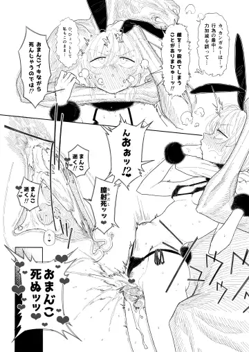 [Xxzero] Kangaroo no Kimochi Ii Fhentai - Page 12