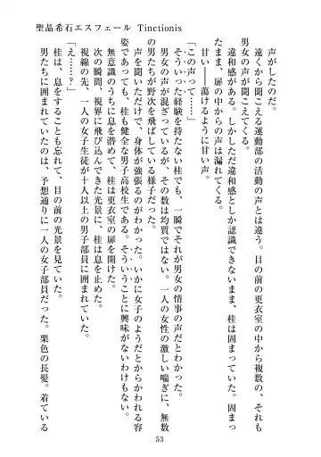 [Satou Kuuki] Holy Crystal Esphére Tinctionis Fhentai - Page 54