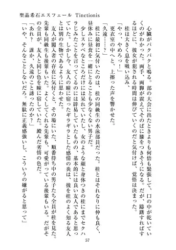 [Satou Kuuki] Holy Crystal Esphére Tinctionis Fhentai - Page 58