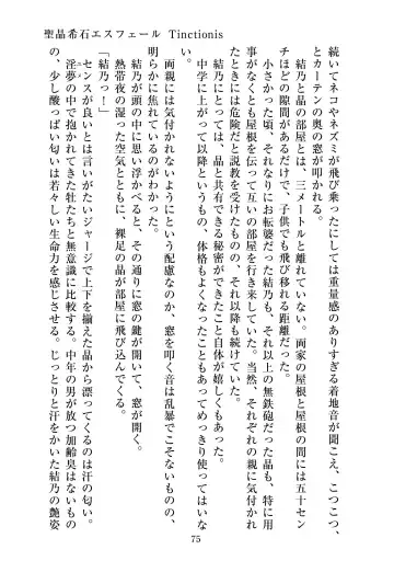 [Satou Kuuki] Holy Crystal Esphére Tinctionis Fhentai - Page 76