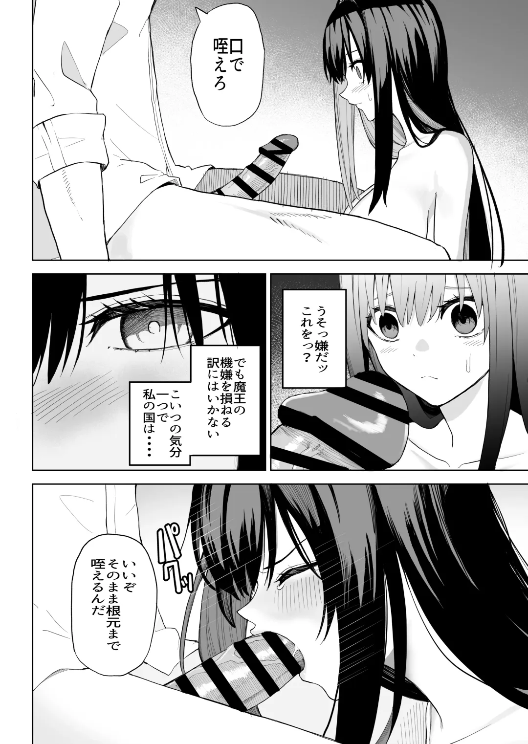 [Gss] Hime Sephia ga Kowareru made Fhentai - Page 11