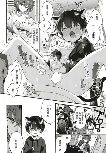 [Morishima Kon] Chotto Kowai Onee-san ni Katte morau Koto ni Narimashita. Fhentai - Page 17