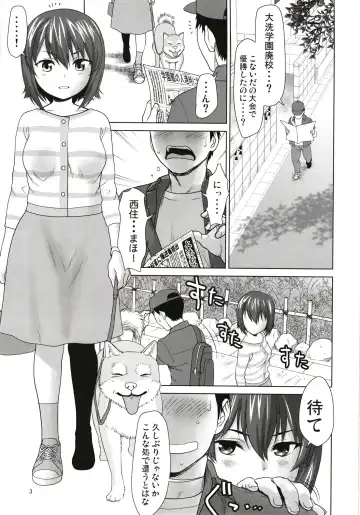 [Saida Kazuaki] Nishizumi-ke no Hime Asobi Fhentai - Page 3