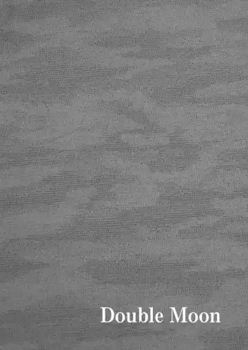 [Yayo] Double Moon Fhentai - Page 3