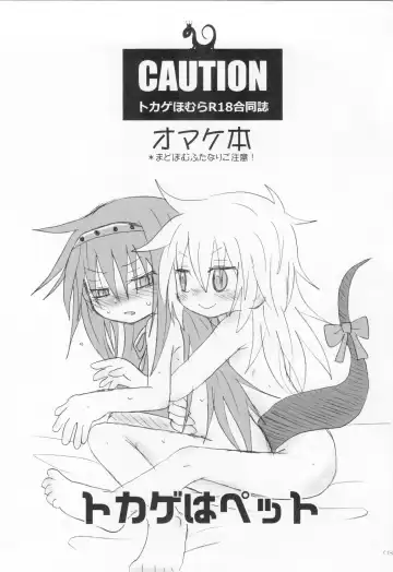 [Hachiwulf] Tokage wa Pet Fhentai - Page 2