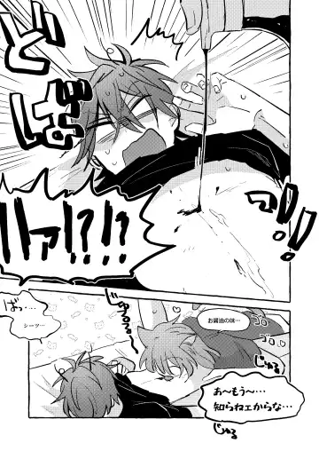 [Kujo] Neko Hon Fhentai - Page 24