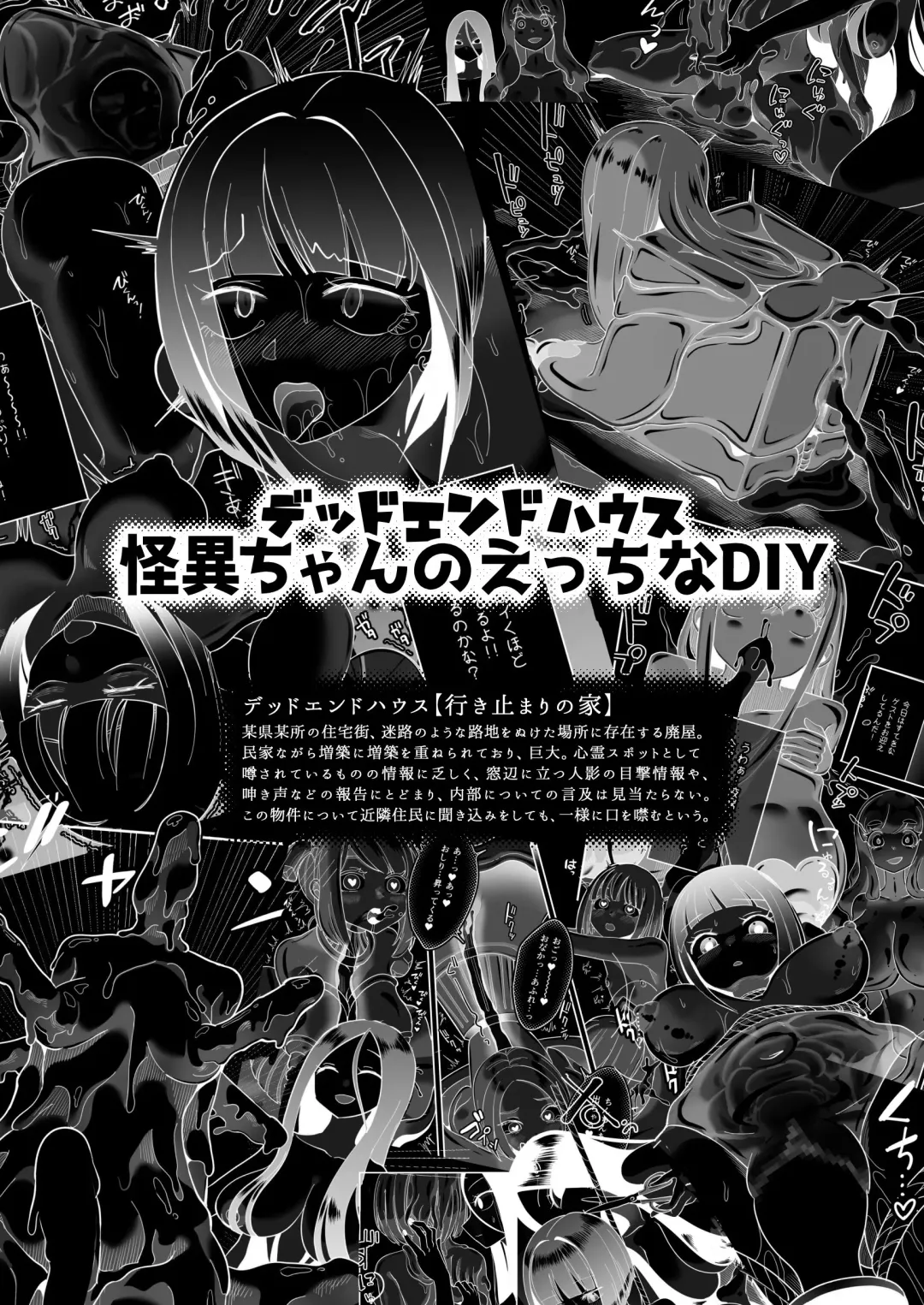 [Archipelago] Dead End House Kaii-chan no Ecchi na DIY Fhentai - Page 3