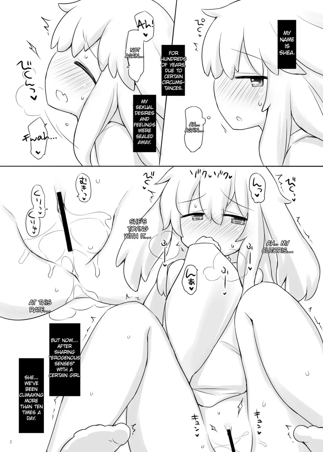 [Sekiri] Shia no Seikan Kyouyuu Nikki | Shia's Erogenous Sharing Diary Fhentai - Page 2