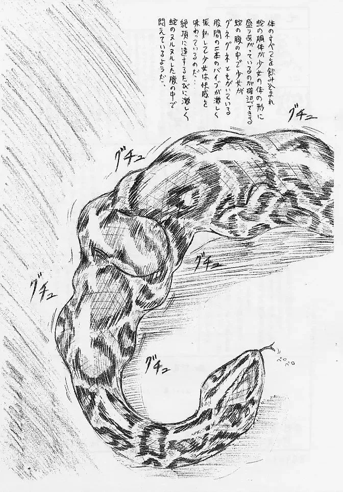 [Sumomo Ex] Vivian Bessatsu Soushuuhen 02 Dizzy -Niku no Jabukuro- Fhentai - Page 13