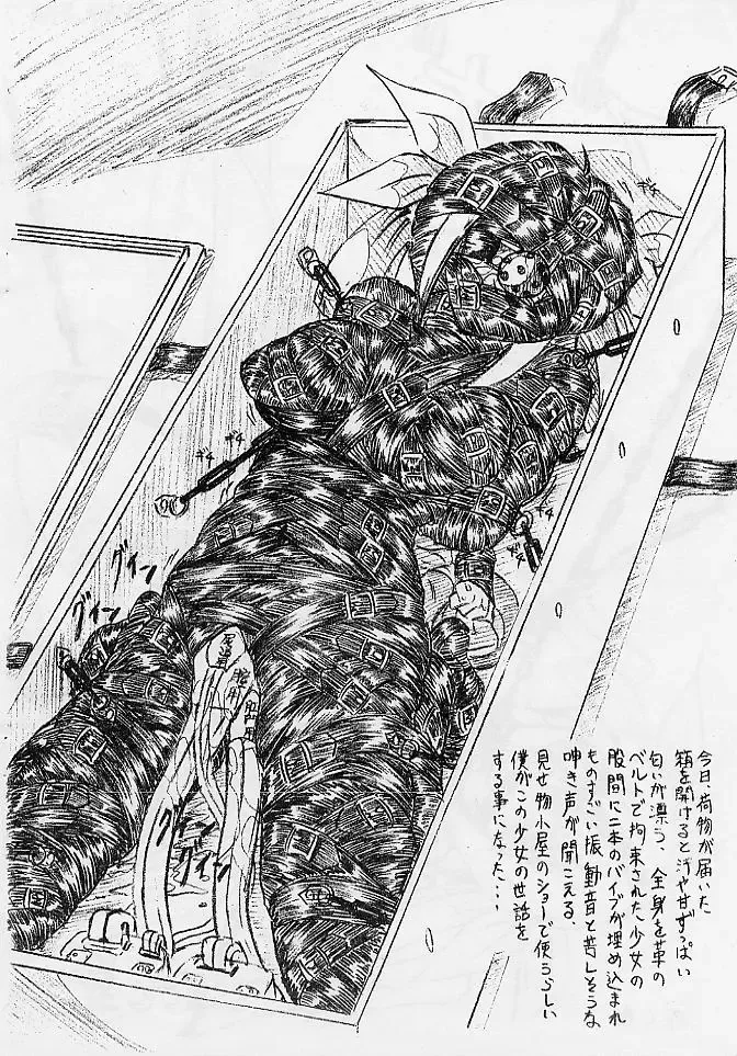 [Sumomo Ex] Vivian Bessatsu Soushuuhen 02 Dizzy -Niku no Jabukuro- Fhentai - Page 2