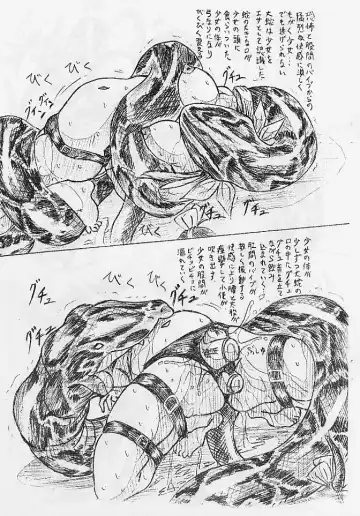 [Sumomo Ex] Vivian Bessatsu Soushuuhen 02 Dizzy -Niku no Jabukuro- Fhentai - Page 11