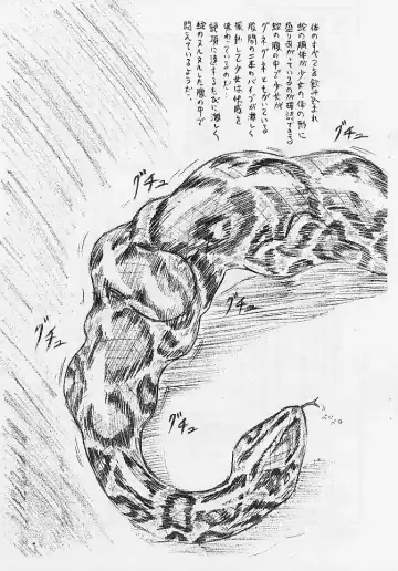 [Sumomo Ex] Vivian Bessatsu Soushuuhen 02 Dizzy -Niku no Jabukuro- Fhentai - Page 13