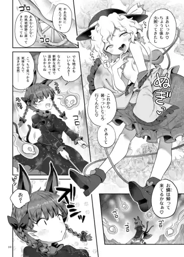 [Harusame] [Unmei no Ikasumi (Harusame) Super Id (Touhou Project) [Digital] Fhentai - Page 9
