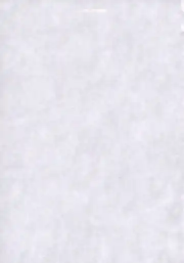 canaria Fhentai - Page 2