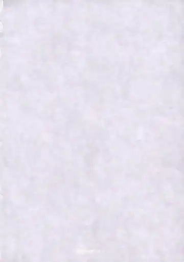 canaria Fhentai - Page 3