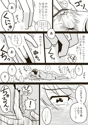 [Craft] Boku no Onee-chan Fhentai - Page 14