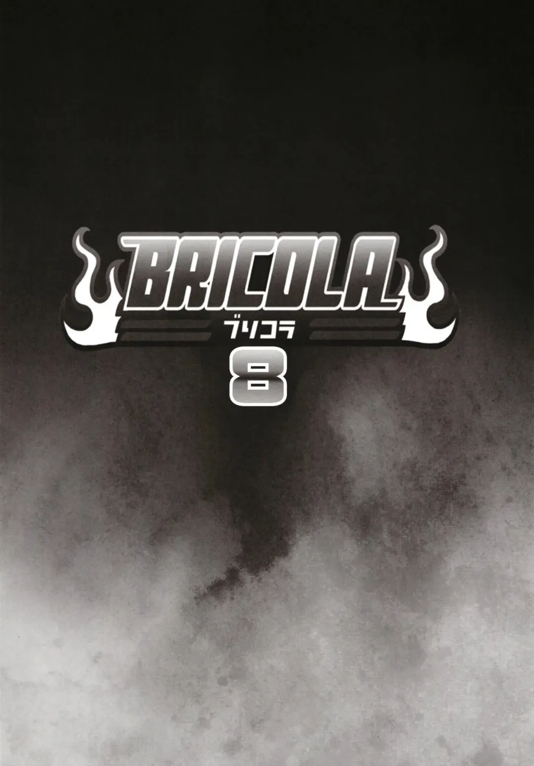 [Haikawa Hemlen] BRICOLA 8 Fhentai - Page 4