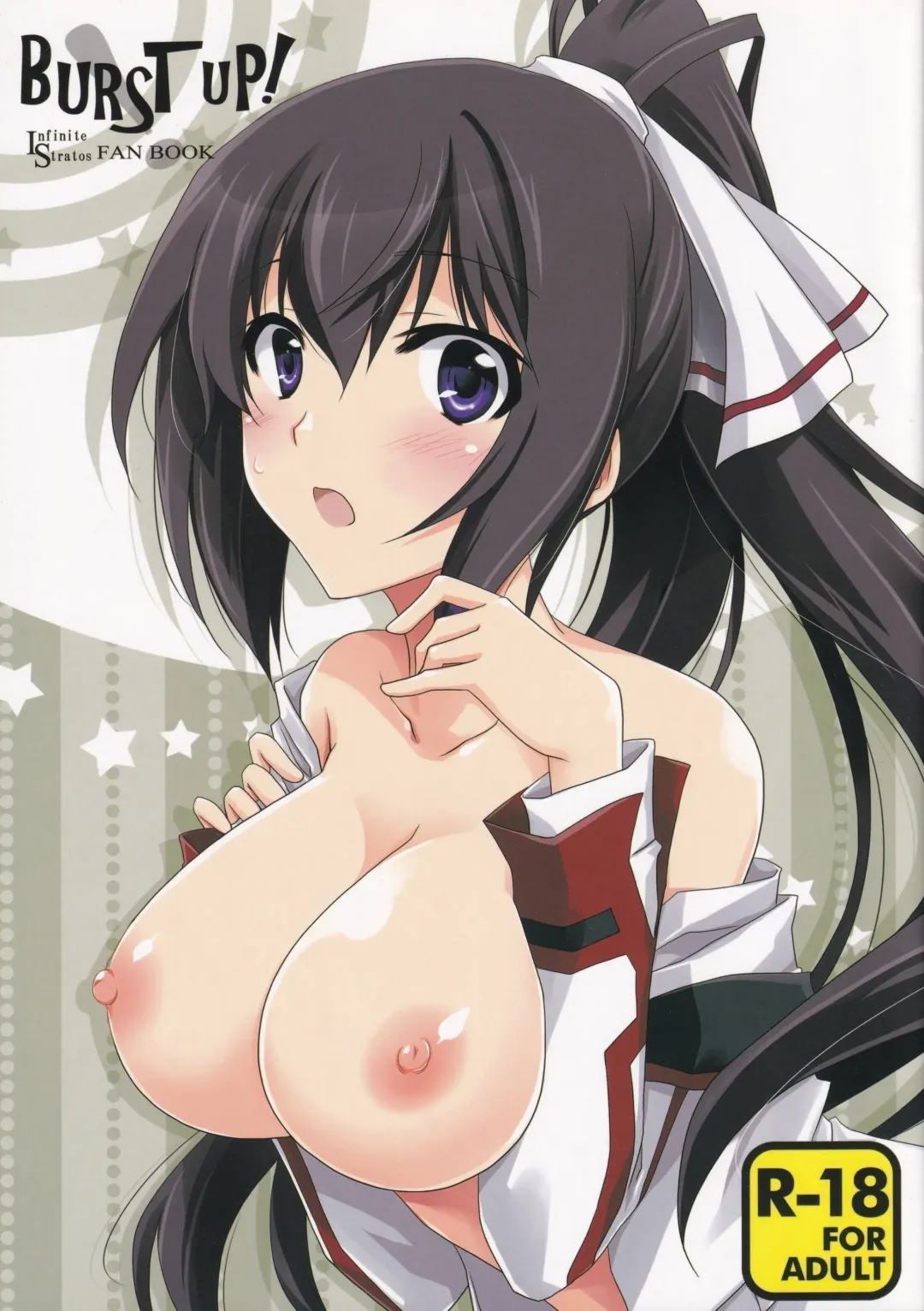 [Yamabuki Mook] Burst Up! Infinite Stratos FAN BOOK Fhentai - Page 1