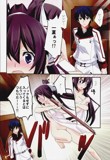 [Yamabuki Mook] Burst Up! Infinite Stratos FAN BOOK Fhentai - Page 4