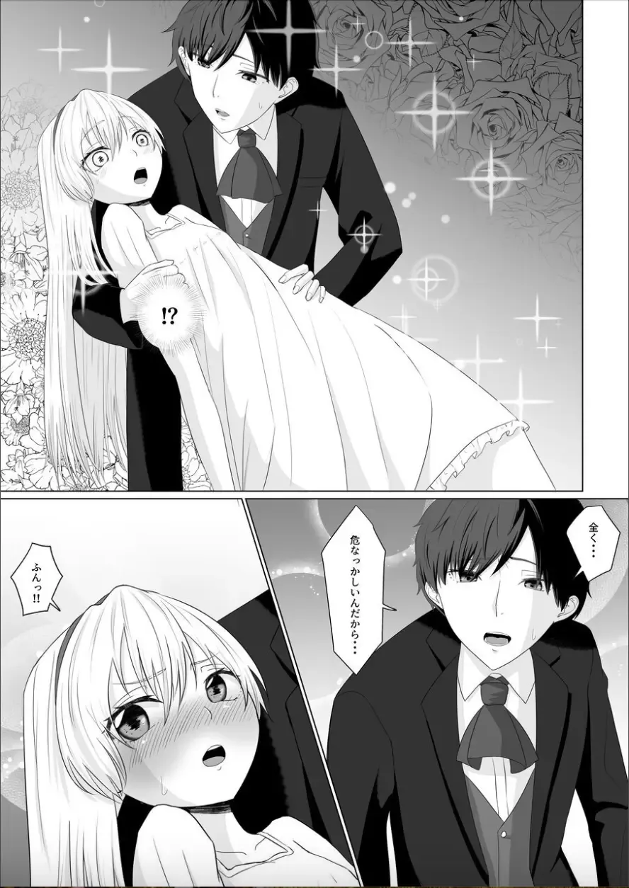[Nasubi] Koujo no Shitsuji wa Akuma Tsuki Fhentai - Page 6