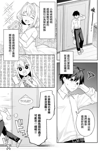 [Bekotarou - Shindou] 肉食系ヴィーガンギャルエルフは弟ちんぽに夢中 Fhentai - Page 11