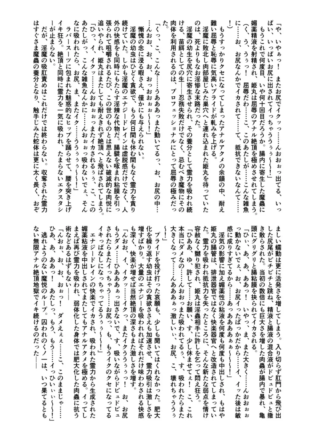 [Rindou] Futsumanin Himemaru Fhentai - Page 11