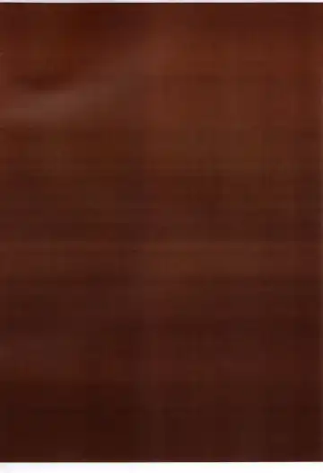 [Bushi] Futanari Jumpkko Rakugaki Chou Fhentai - Page 10