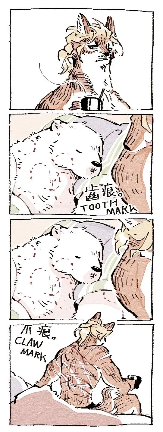 Wolf & Bear & Cafe // Fox & Tiger & Cup Noodles Fhentai - Page 20