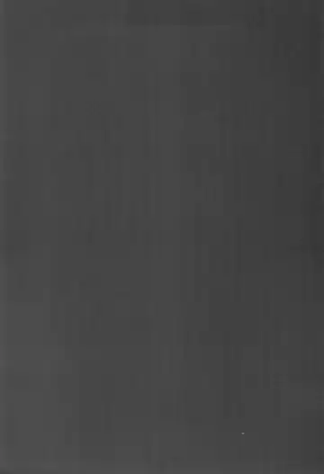 [Bonten] Nyuujoku no Ori ~Hitozuma Sousakan Atsuko~ Ni Fhentai - Page 4