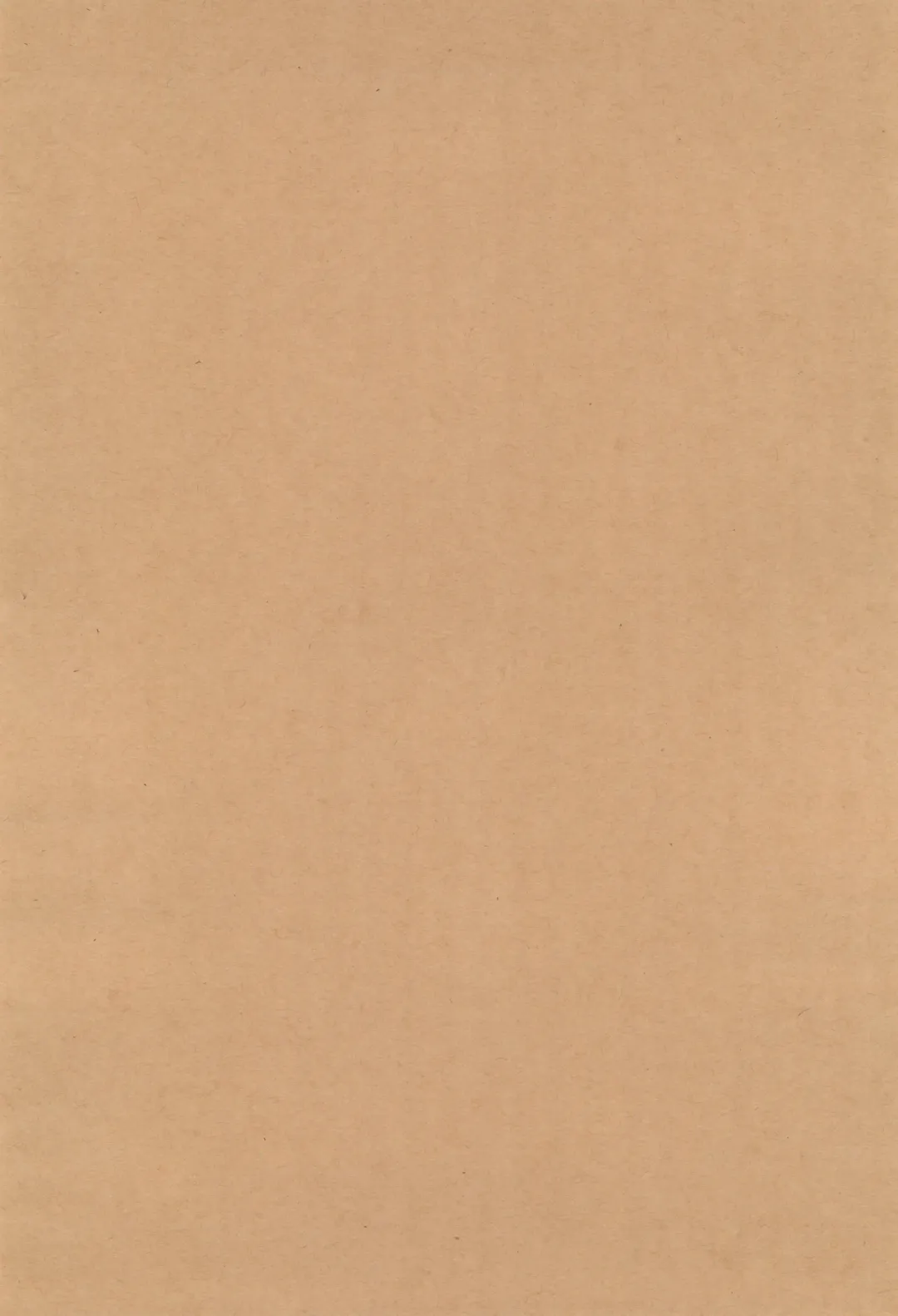 [N.o. Chachamaru] Hiyake ga Ki ninaru Sensei ga Fhentai - Page 4