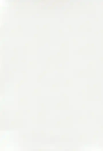 [Toyasu Aina] Anata no Risou no Ochinpo Heroine Fhentai - Page 4