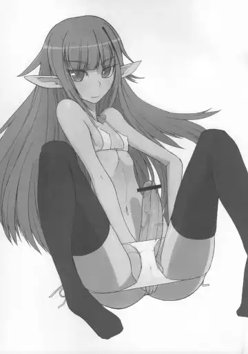 [Suzuki Shina] Elf no Kuni e no Ryuugakuki Fhentai - Page 2