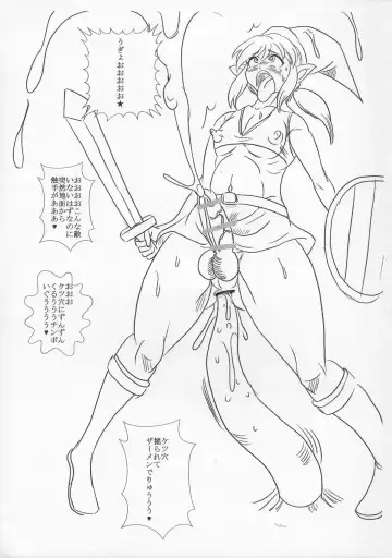 [Chan Shin Han] Hyrule no Mesu Yuusha Fhentai - Page 15