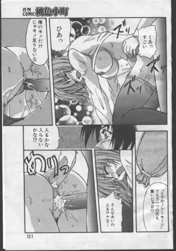 [Yume Kirei] Mangaka no Saigo Fhentai - Page 14