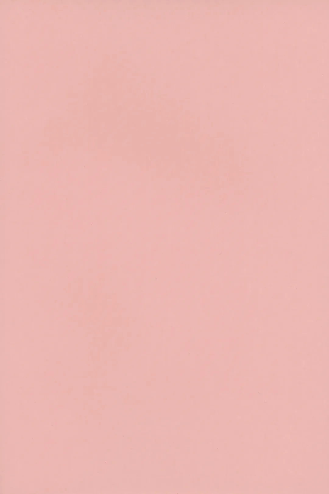 [Margamoid] Shinjin AV Joyuu Totoki Airi Fan no Otaku Houmon de Paizuri & Fudeoroshi Fhentai - Page 2