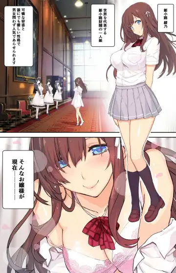 [Himukai Kyousuke] Ojou-sama wa Hatsujouki Fhentai - Page 3