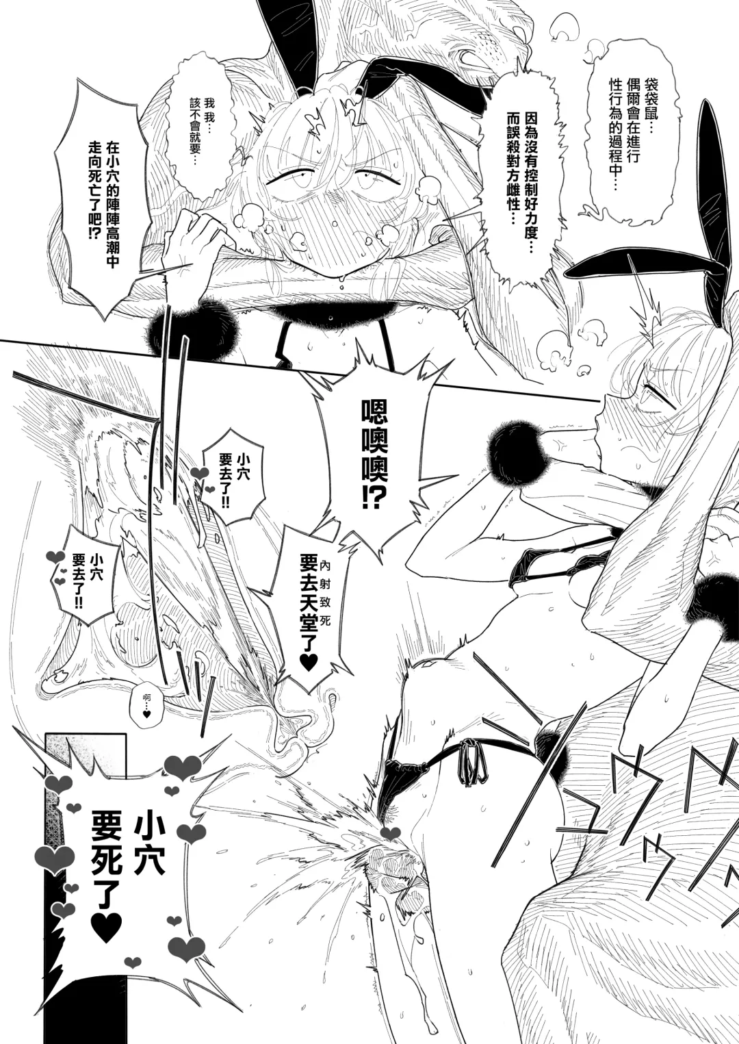 [Xxzero] Kangaroo no Kimochi Ii Fhentai - Page 12