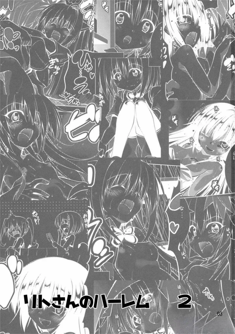 [Aoi Mikan] Rito-san no Harem Seikatsu 2 Fhentai - Page 2