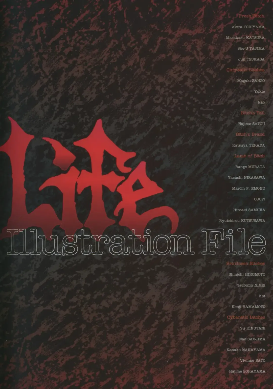 Bitch's Life Fhentai - Page 8