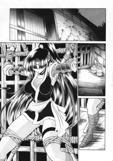 [Horikawa Gorou] Beni Ninpouchou Ten no Kan Fhentai - Page 19