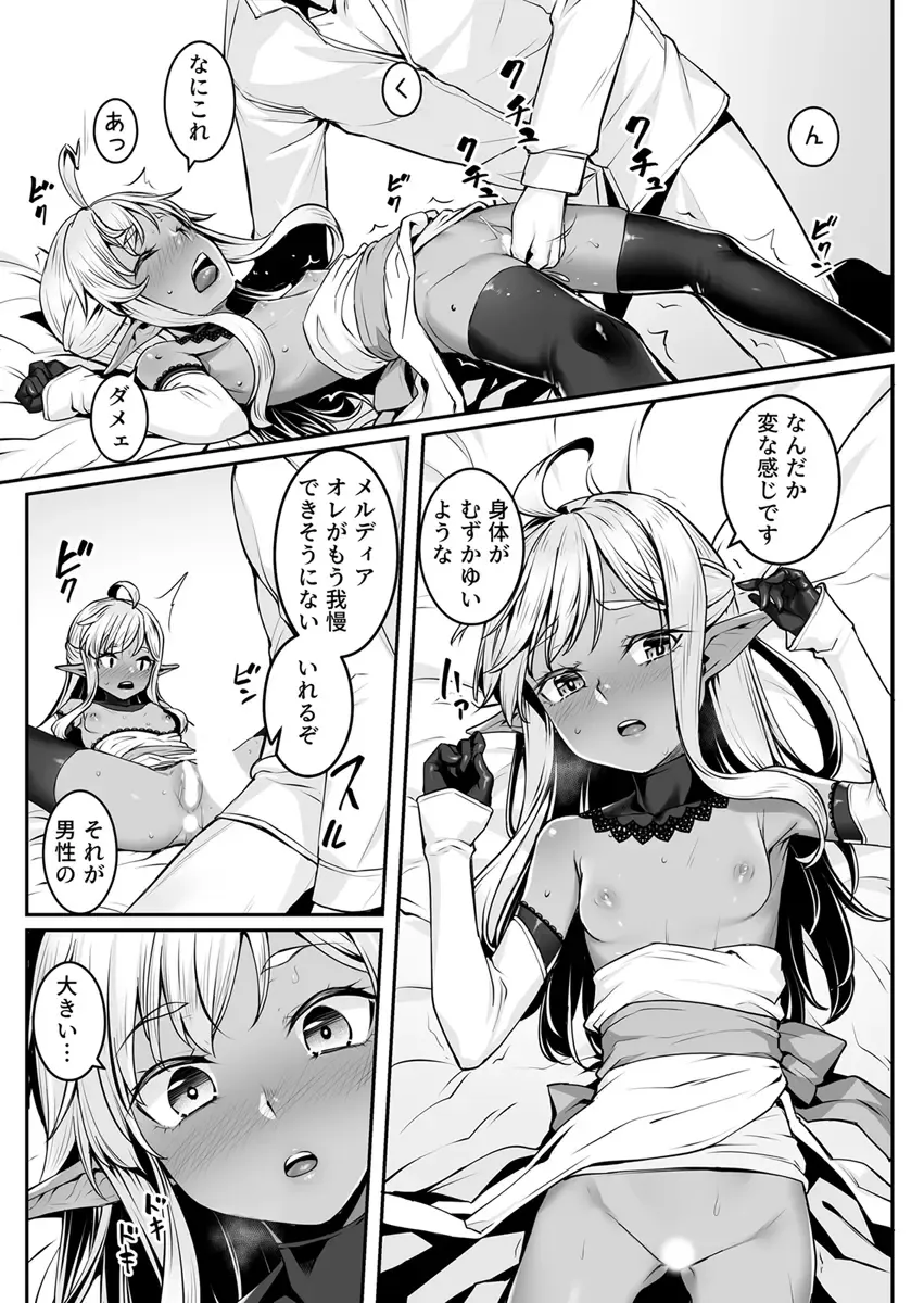 [Kasei] Ecchi na Elf to no Kurashikata Vol. 7 ~Dark Elf no Himegimi to Ichakorakkusu~ Fhentai - Page 11
