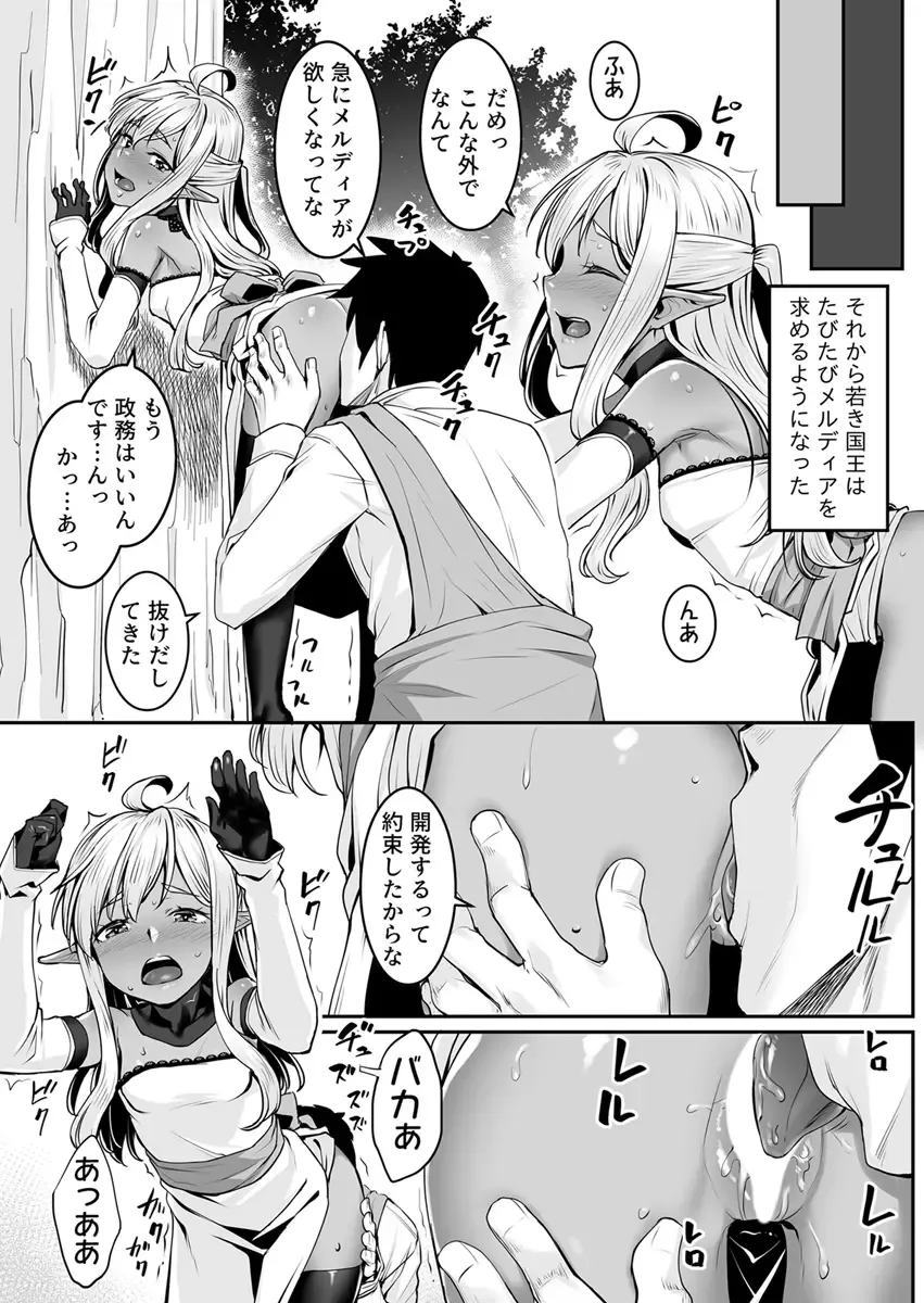[Kasei] Ecchi na Elf to no Kurashikata Vol. 7 ~Dark Elf no Himegimi to Ichakorakkusu~ Fhentai - Page 17
