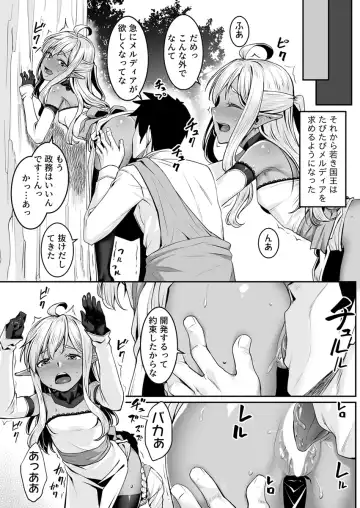 [Kasei] Ecchi na Elf to no Kurashikata Vol. 7 ~Dark Elf no Himegimi to Ichakorakkusu~ Fhentai - Page 17