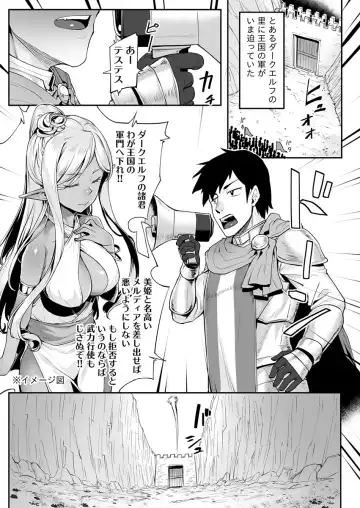 [Kasei] Ecchi na Elf to no Kurashikata Vol. 7 ~Dark Elf no Himegimi to Ichakorakkusu~ Fhentai - Page 3
