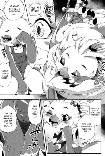 [Inumimi Moeta] Oira to Oira no Kyoukansei Fhentai - Page 11