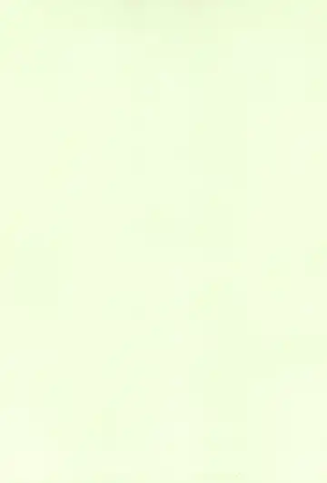 [Inumimi Moeta] Oira to Oira no Kyoukansei Fhentai - Page 4