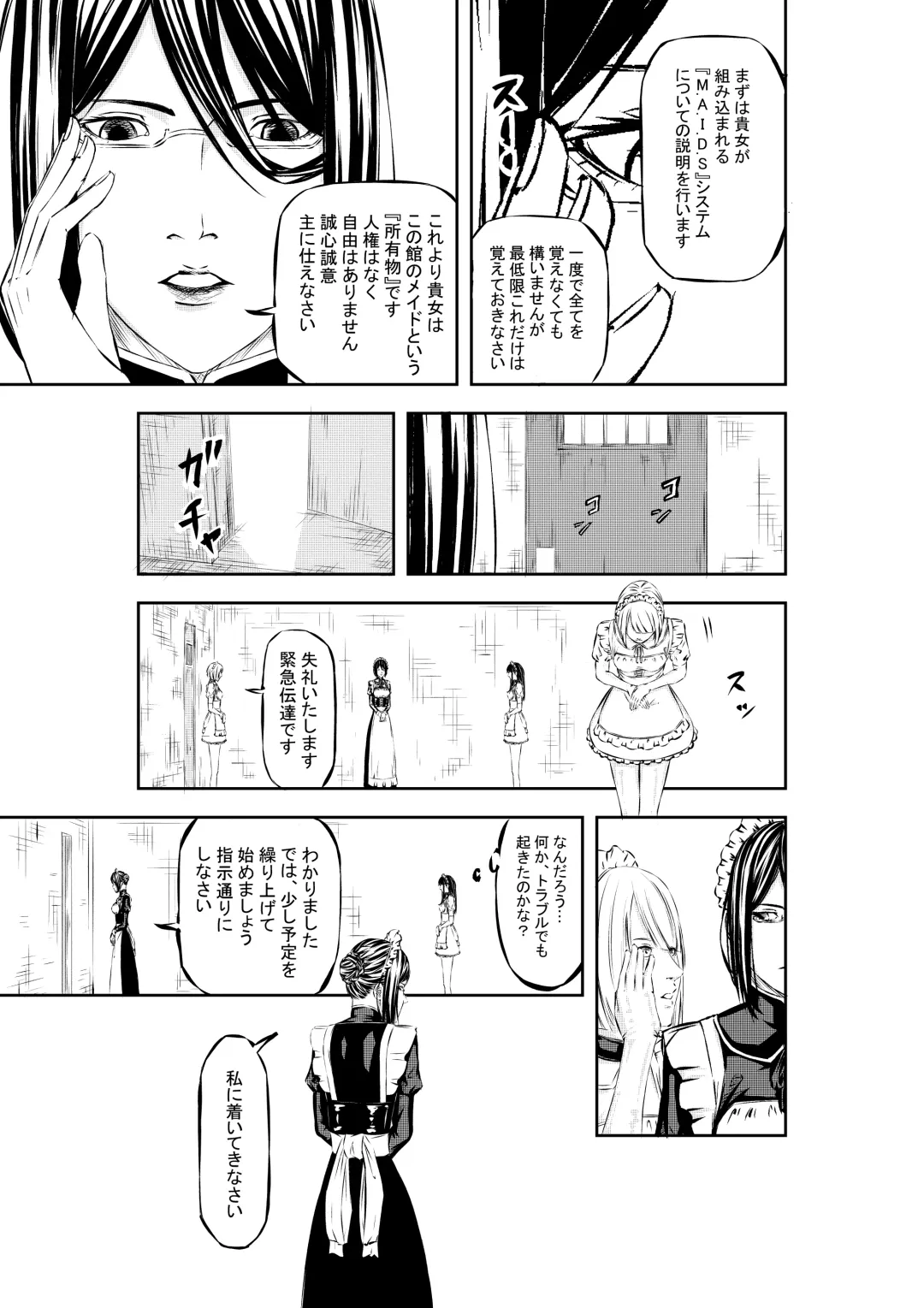 M.A.I.D.S System Fhentai - Page 12