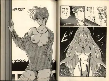 [Aki Matsuri] Gunbook -Soutou no Ookami- 1 - Ancient Game Fhentai - Page 33